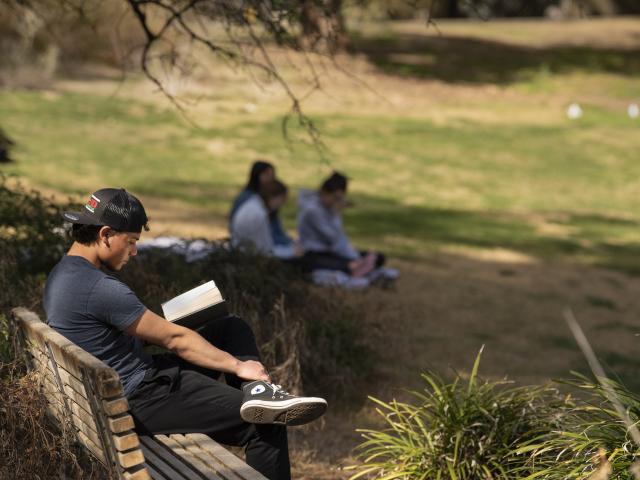 person sitting on a bench in a grassy area wearing a backwards hat on their head reading a book